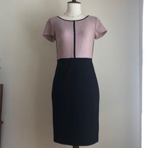 Ann Taylor Pink and Black Dress